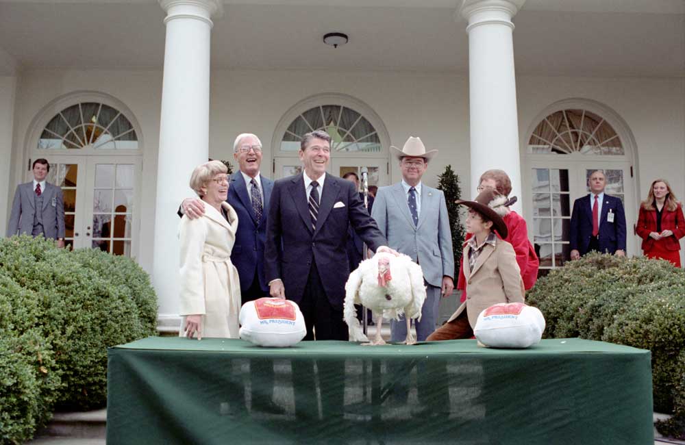 President Reagan receives the Thanksgiving turkey from the National Turkey Federation in 1981. (Photo: Archives/Reagan Presidential Library)