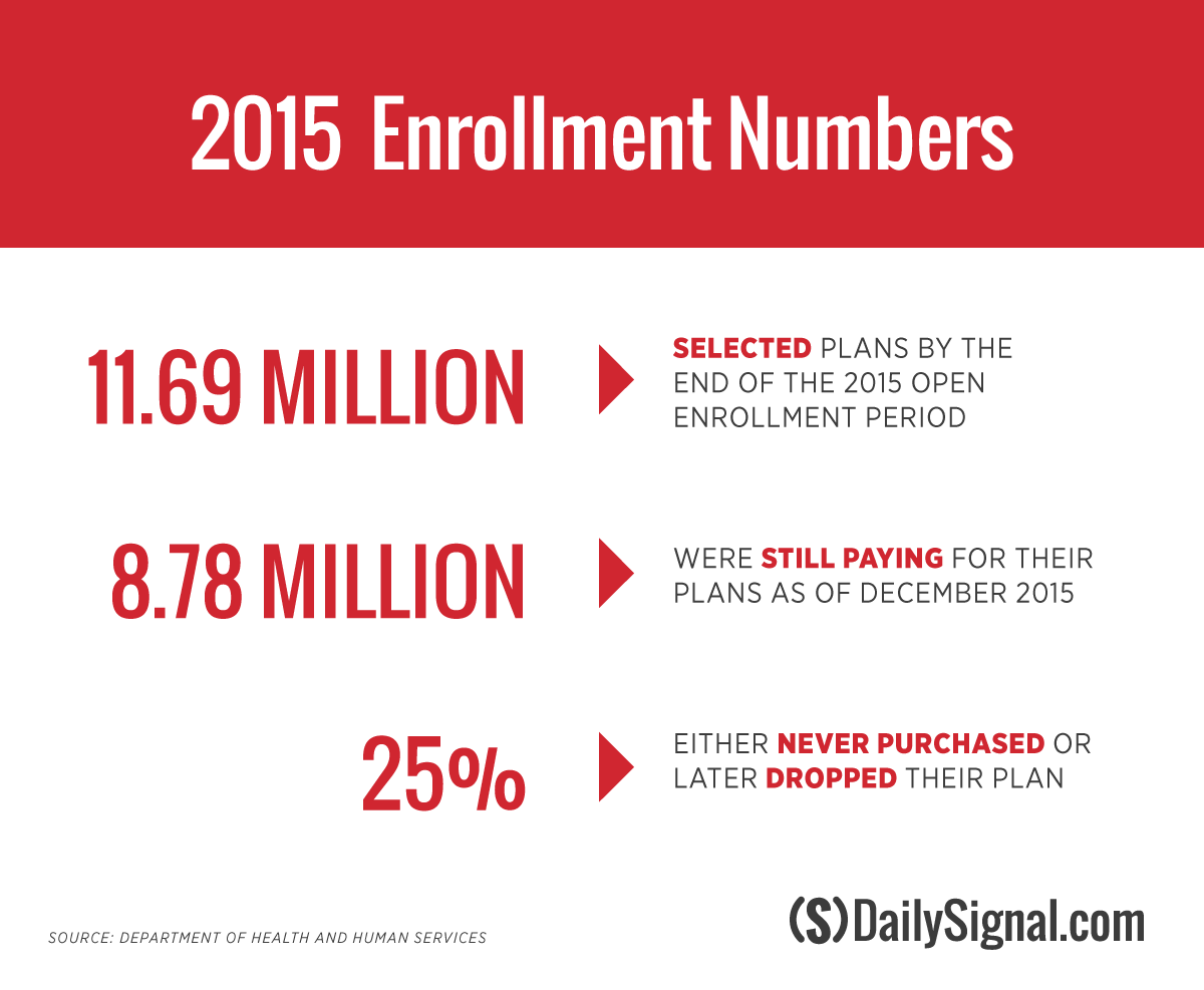 2015 Enrollment Numbers