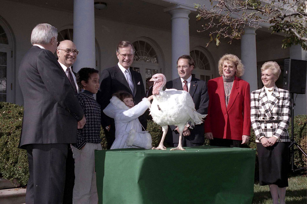 President George H. W. Bush formally pardons the turkey for the first time in 1989. (Photo: George Bush Presidential Library/)