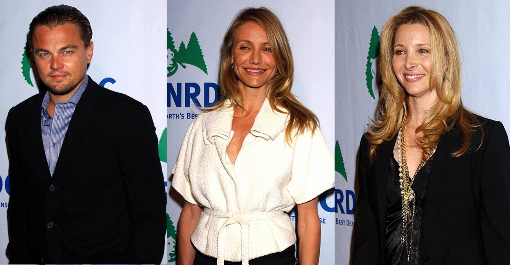 The Natural Resources Defense Council is supported by high-profile celebrities  including Leonardo DiCaprio, who is on its board.