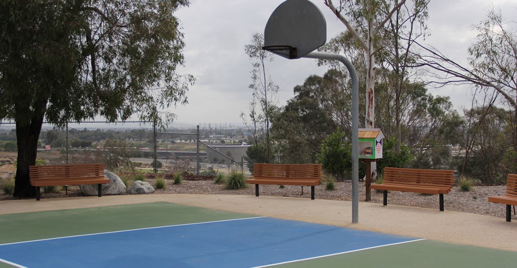 The property also has it's own basketball court. (Photo: Billy Glading/The Daily Signal)