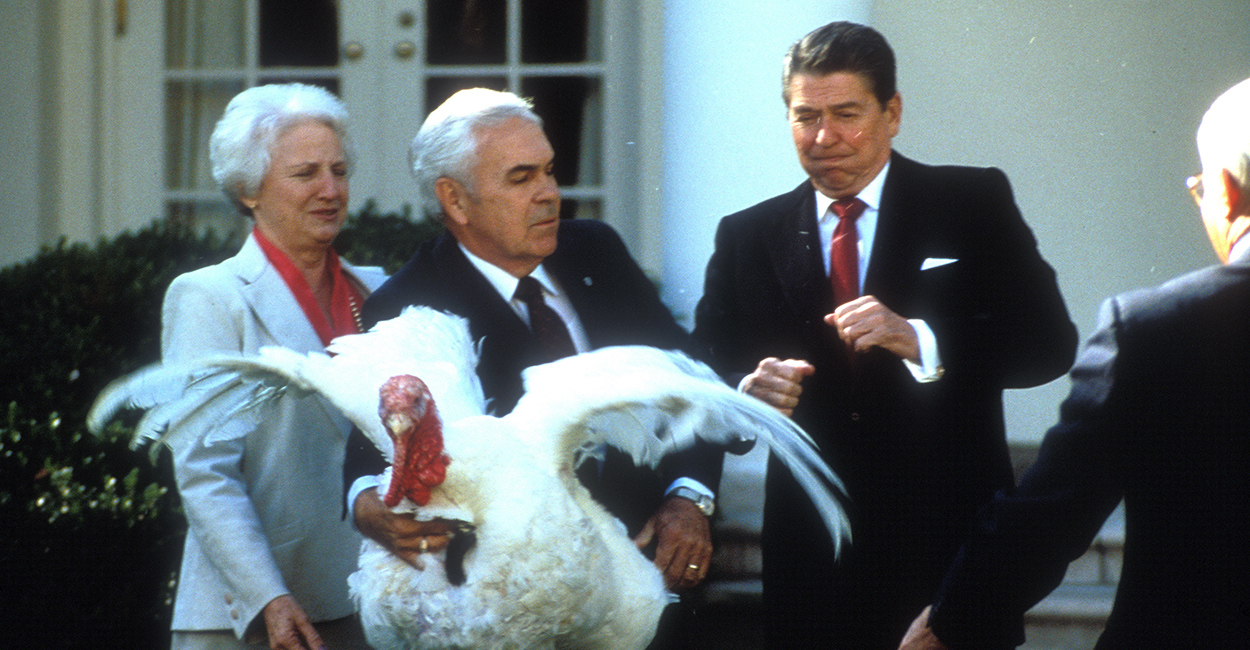 Image result for turkey president thanksgiving