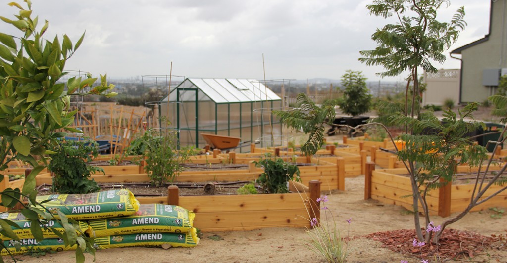 The community garden at Blue Butterfly Village. (Photo: Billy Glading/The Daily Signal)