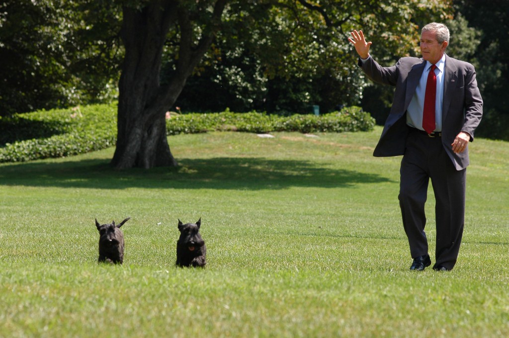 President George W. Bush, accompanied by his dogs Barney and Miss Beazley, arrives on the South Lawn of the White House. (Photo: Evan F. Sisley/Pool/Newscom)
