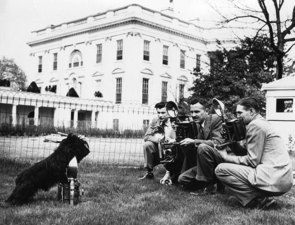 President Franklin Delano Roosevelt's dog, Fala, photographing the photographers at the White House in 1942. (Photo: Newscom)