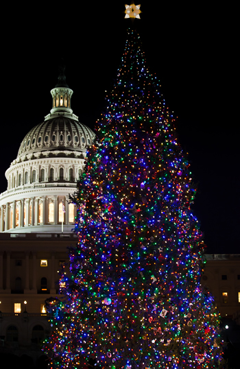 Christmas Tree Taxation Manual