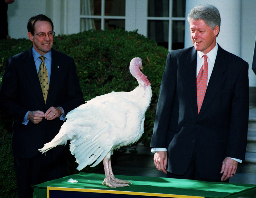 President Bill Clinton eyes the 1998 National Thanksgiving Day Turkey. (Photo: Pete Souza/Newscom)