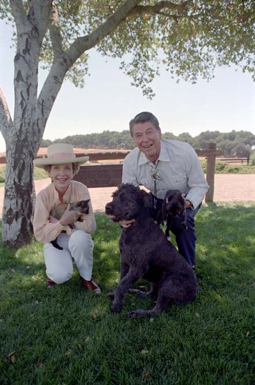 President Reagan Nancy Reagan with cats and dog Lucky the Bouvier des Flandres. (Photo: Newscom)