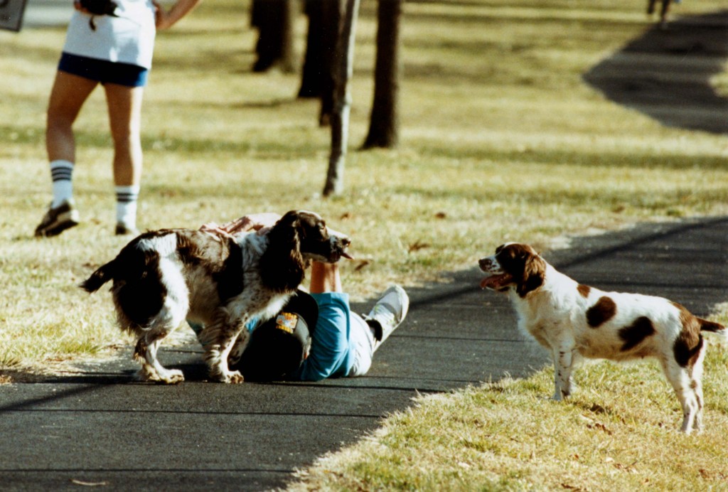 President George Bush plays with presidential dogs Ranger and Millie after an early afternoon jog at the US naval Observatory in 1991. (Photo: Joe Marquette/UPI)