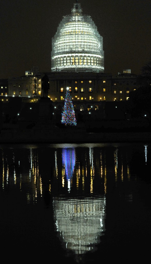 The 2014 Capitol Christmas Tree is a white spruce from the Chippewa National Forest in Cass Lake, Minnesota. (Photo: Xinhua/Bao Dandan) 