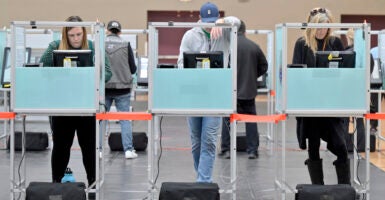 voters at election booths