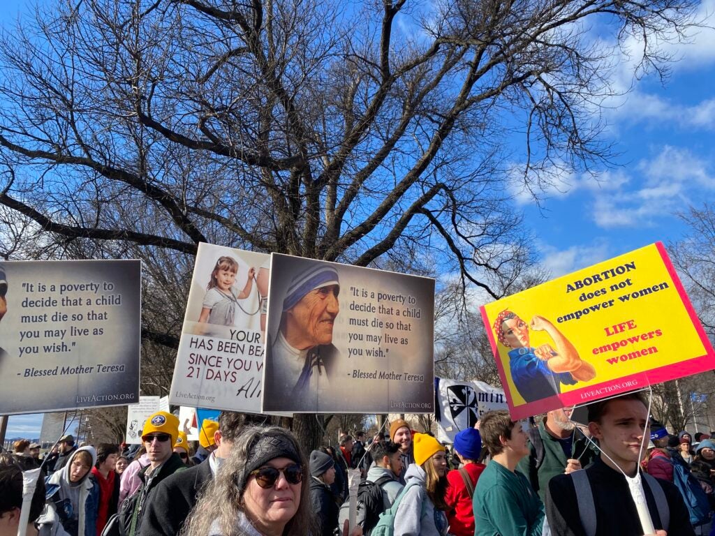 Signs quoting Mother Teresa