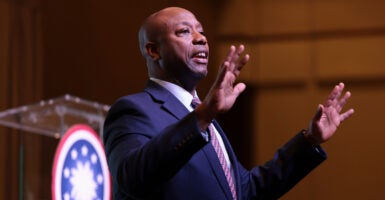 tim scott 2024 exploratory committeeto