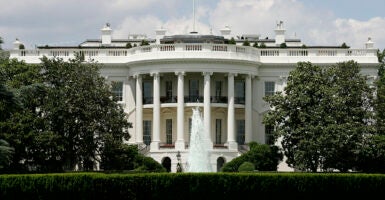 White House fountain with greenery