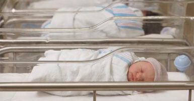 Newborn babies sleeping in hospital nursery