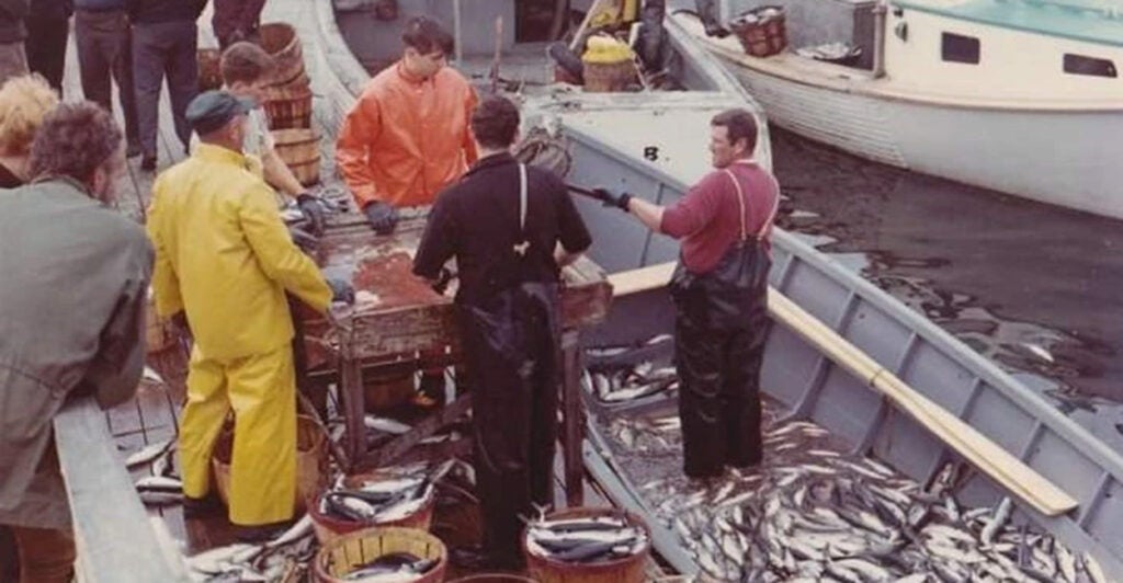 Fishermen stand on a dock and a fisherman in a boat full of fish talks with them.