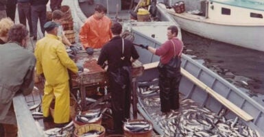 Fishermen stand on a dock and a fisherman in a boat full of fish talks with them.