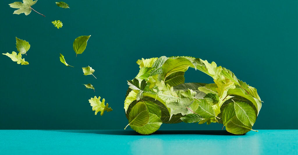 A car made of leaves with an exhaust trail of leaves