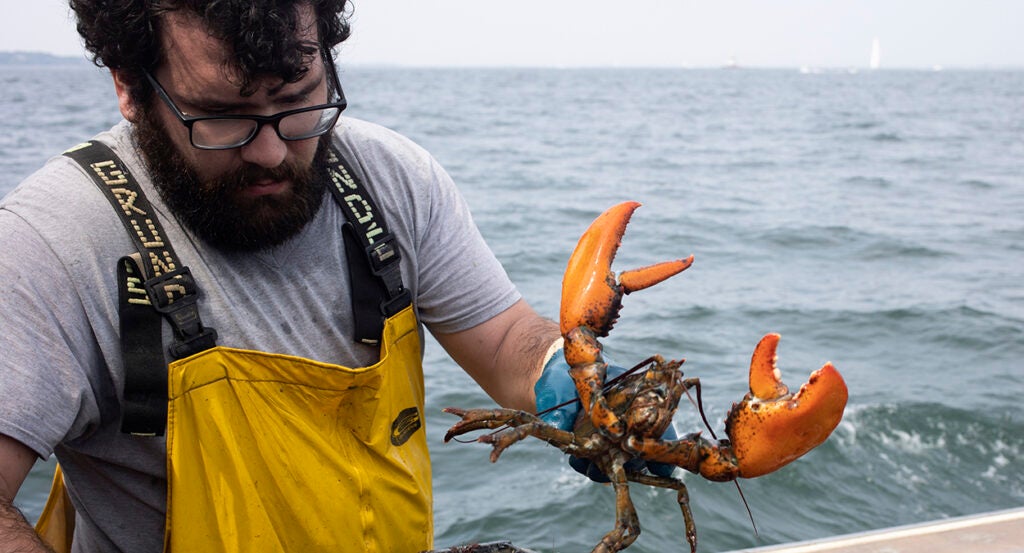 A bearded man holds a lobster on a fishing vessel