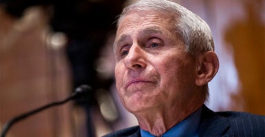 Dr. Anthony Fauci testifying before Congress