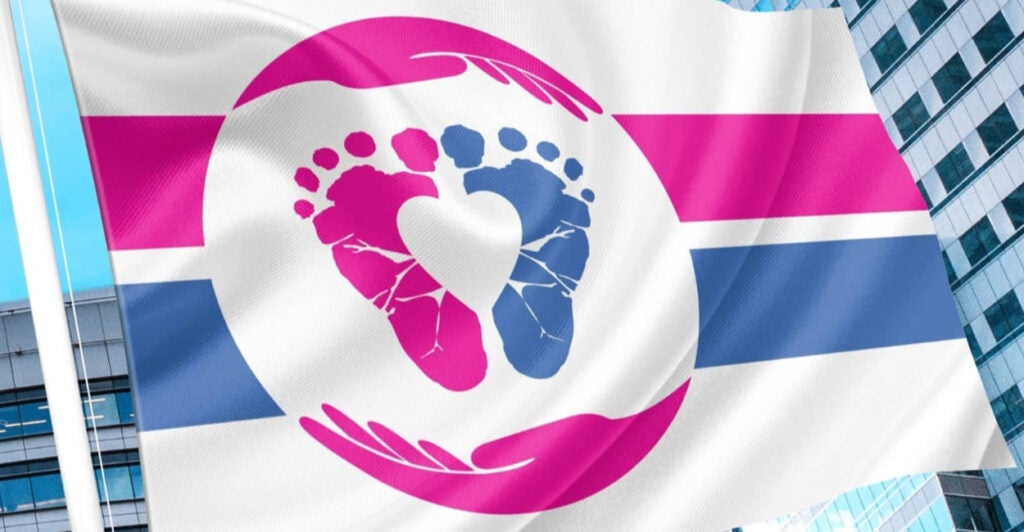 the pro-life flag