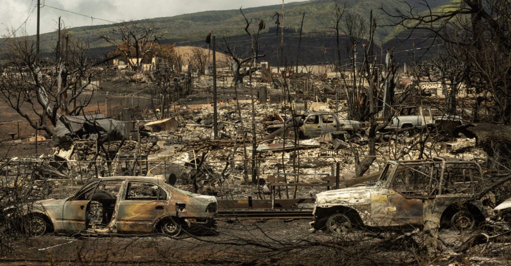 Burned town in Hawaii.