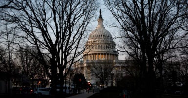 The U.S. Capitol building is seen through the branches of two large trees.