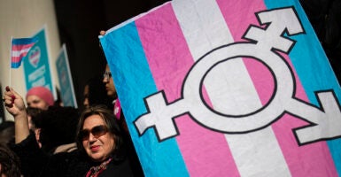 Woman holds transgender flag with transgender symbol