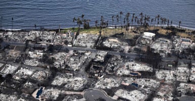 An aerial picture of the burned down coast of Maui. There are burned buildings, a few palm trees on the coast, and the ocean.