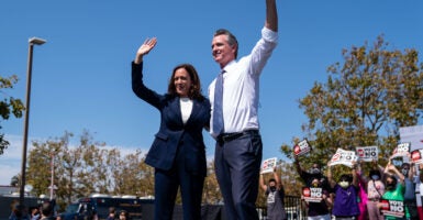 gavin newsom kamala harris