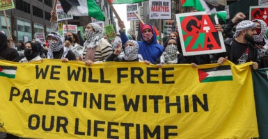 Protesters hold signs reading 