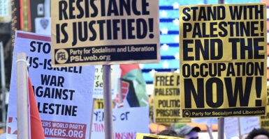 Signs from a Palestine-Israel Conflict Protest