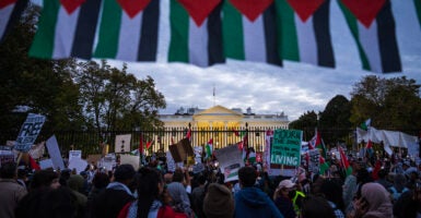 Thousands of pro-Palestine protestors demonstrate outside the White House during the National March on Washington for Palestine on November 4, 2023 in Washington, DC. (Photo: Drew Angerer/Getty Images)