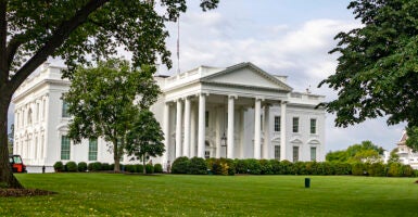 The White House with trees and bushes in the foreground