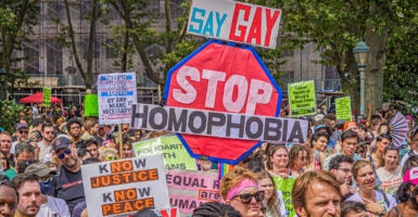 LGBTQ protesters hold signs reading "Stop homophobia," "say gay," "defend trans youth by any means necessary," and "end the murder of black & brown trans women."