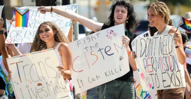 Young protesters hold transgender signs