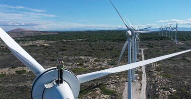 A repair technician stands atop a giant windmill high above the ground in a field of wind turbines.