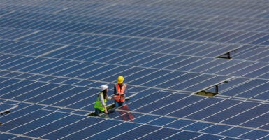 Two maintenance people in a field of solar panels