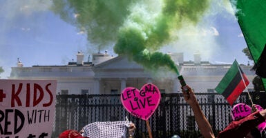 Protesters spraying green smoke and holding signs in front of the White House lawn.