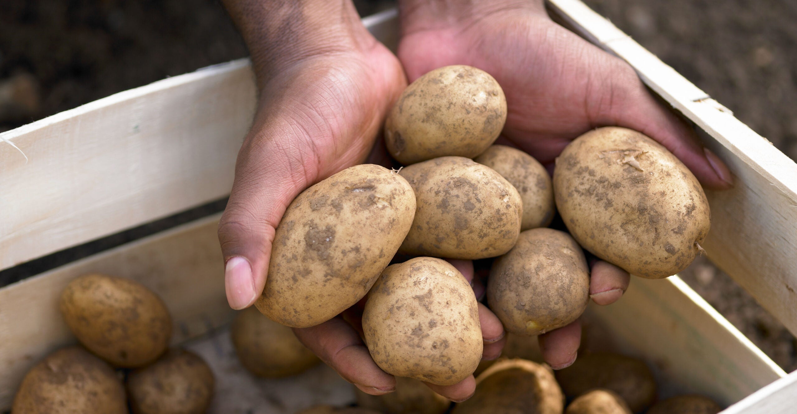 Potato-Famine Economics, Courtesy of Biden-Harris