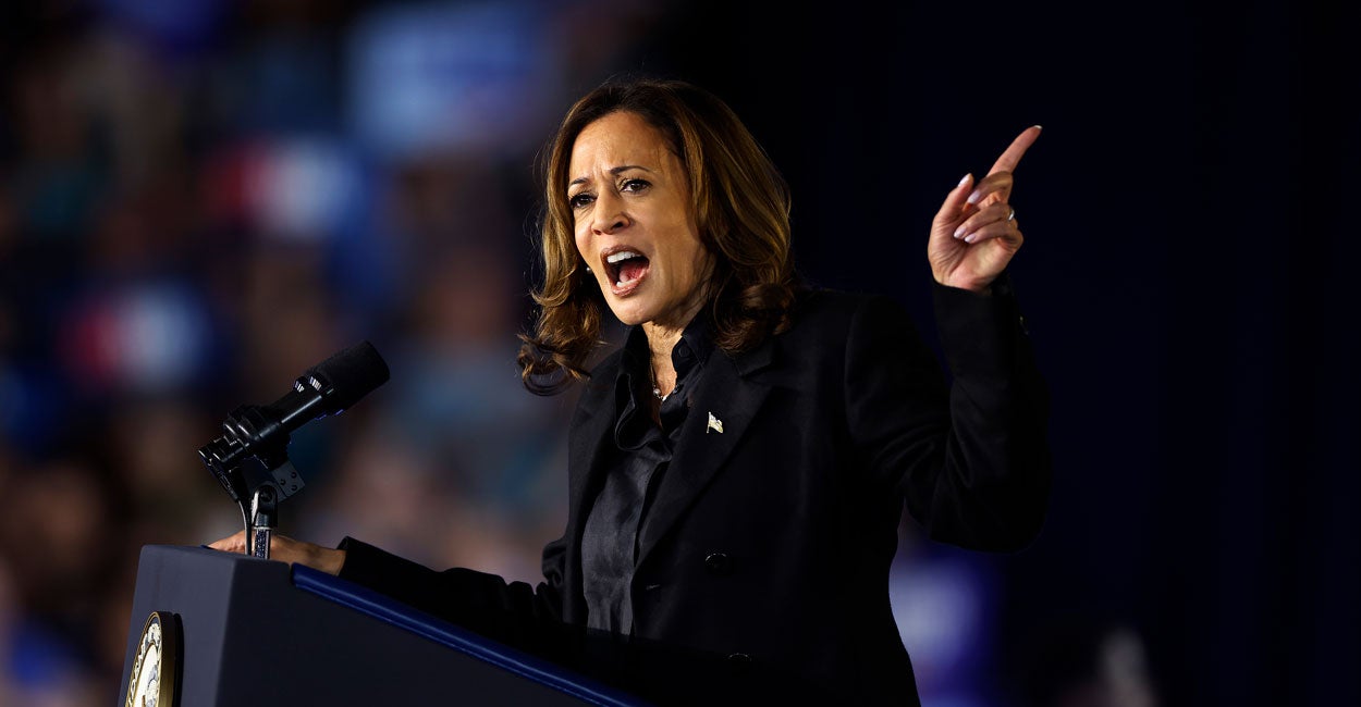 Expert: Harris' 'Two-State Solution' Would 'Wipe Israel Off the Map'