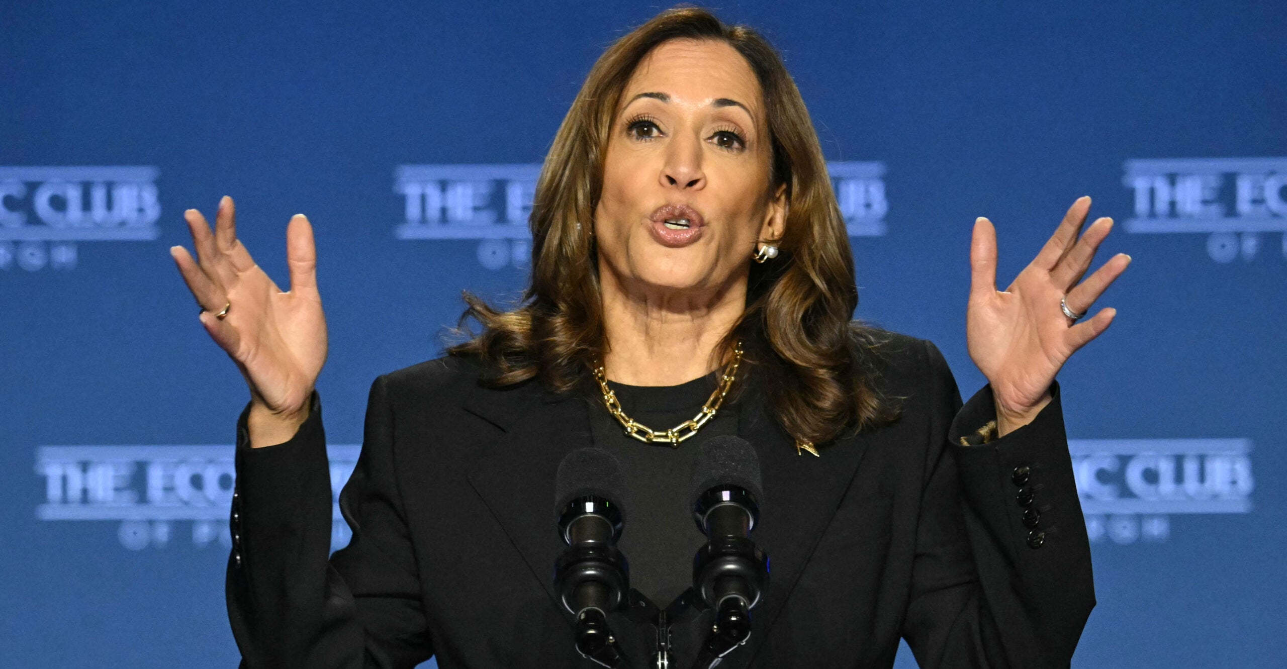 Harris' Economic Plan Would Increase Federal Stranglehold on Economy