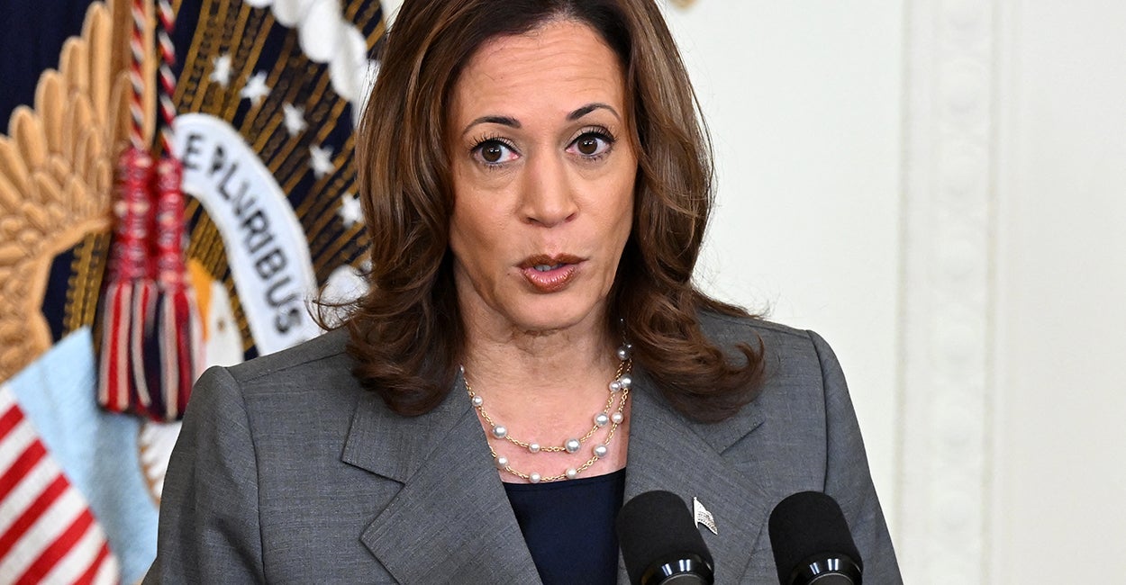 Kamala Harris' 'Intruder' Crack: Joke or Serious Comment on Self-Defense?