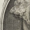 A closeup of a George Washington on a dollar bill