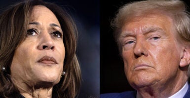 Kamala Harris and Donald Trump split screen