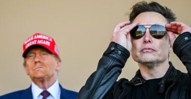 President-elect Donald Trump sports a red "Make America Great Again" cap and Elon Musk dons aviator sunglasses