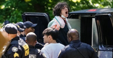 A pro-Palestinian student protester is arrested and about to be put in a police vehicle while he's screaming and surrounded by police