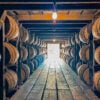 Wooden bourbon barrels are stacked in a dark rickhouse.