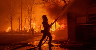 A fireman douses flames of the California inferno as best he can with a hose in California.