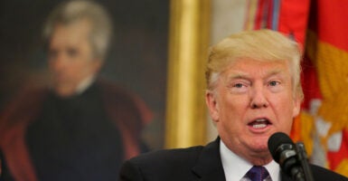 President Donald Trump during his first term in the Oval Office in November 2017, with a portrait of President Andrew Jackson on the wall behind him